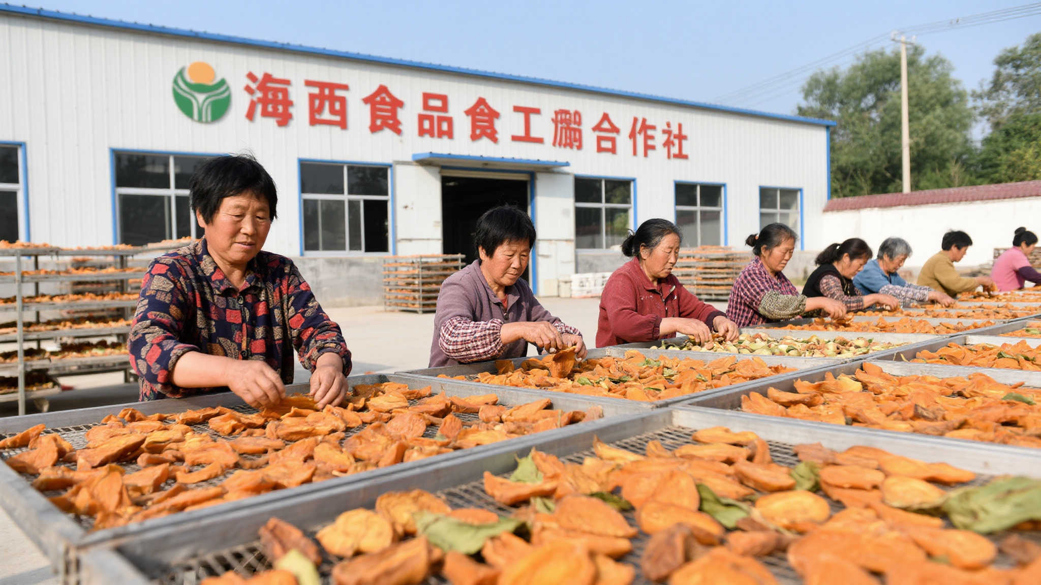 中央彩票公益金12.8亿元助力山西乡村振兴再提升